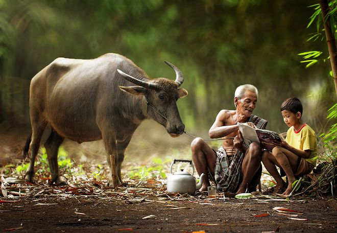 village-life-indonesia-herman-damar-4