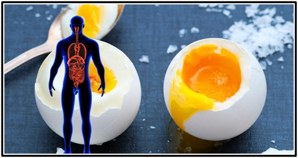 What-Happens-When-You-Eat-3-Whole-Eggs-Every-Day…You’ll-Be-Surprised-What-It-Does-To-Your-Body.jpg